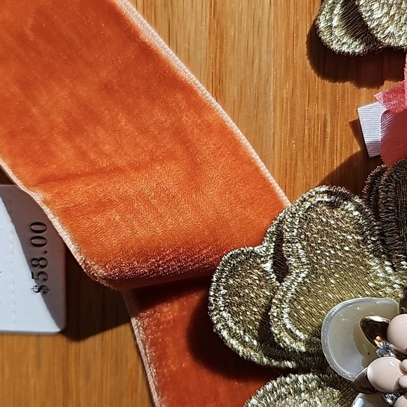 NWT Anthropologie Beautiful Zach & Belts Fall Colors Delicate accessory - Picture 6 of 7